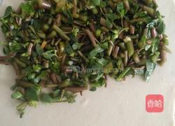 香辣苋菜饼的做法图解4
