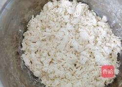 生煎包(素）的做法图解2