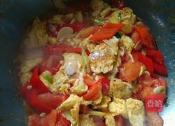 番茄炒鸡蛋的做法图解7