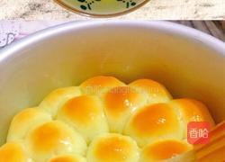 金钱小面包(玉米油版)的做法图解13