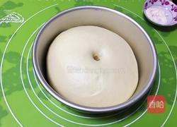 奶香蓝莓餐包的做法图解8