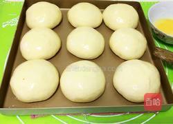 奶香蓝莓餐包的做法图解18