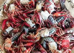 怪味吮指小龙虾的做法图解1