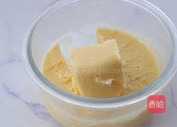 椰芒冰淇淋的做法图解6