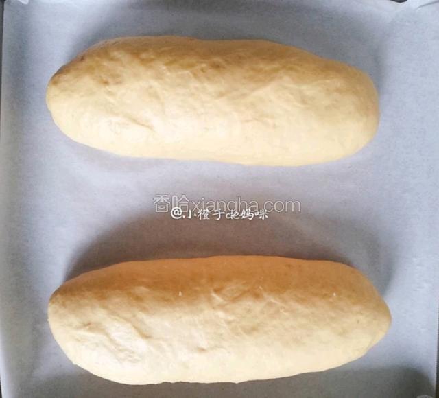 在常温发酵至2倍大小，烤箱180度开始预热