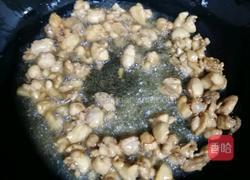 宫保鸡丁的做法图解2