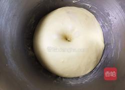 埃曼塔奶酪面包的做法图解13