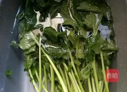 萝卜缨子凉拌菜的做法图解3