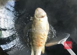 紫苏香辣鱼的做法图解3