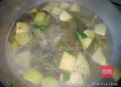 鲶鱼茄子汤的做法图解7