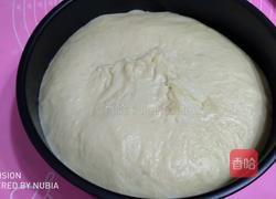 毛毛虫火腿包的做法图解4