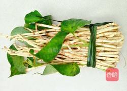 凉拌鱼腥草的做法图解1