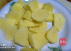 五彩缤纷土豆饼的做法图解1