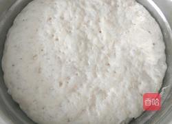 韭菜鸡蛋海米包子的做法图解1