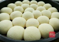 全麦脆皮小面包的做法图解9