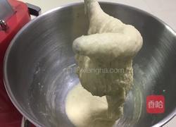 梅子餐包的做法图解4