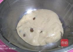 奶油提子土司的做法图解5