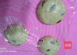 奶油提子土司的做法图解7