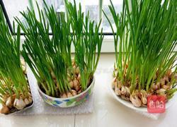 蒜苗豆腐大虾汤的做法图解1