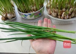 蒜苗豆腐大虾汤的做法图解2