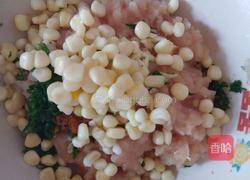 自制无肠衣鸡肉玉米香肠的做法图解2