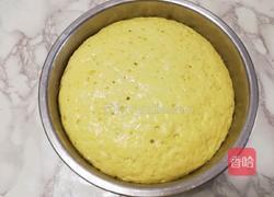 迷你南瓜豆沙包的做法图解4