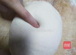 茄子馅儿素包子的做法图解3