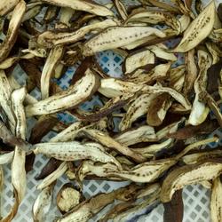 自制茄子干的做法[图]