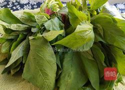 苋菜拌粉条的做法图解2