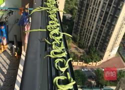 媛媛自制豆角酸的做法图解3