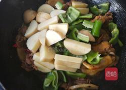土豆烧鸡肉的做法图解8