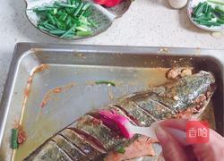 龙虾味土豆烤鱼的做法图解7