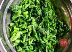 凉拌南瓜尖的做法图解7