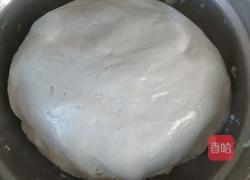 空心大麻團(tuán)的做法圖解3