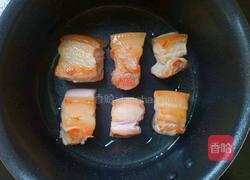 桃胶红烧肉 低热量 劲享双重肉感 的做法图解4