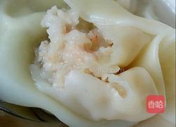 冬瓜虾仁鲜肉馄饨的做法图解4