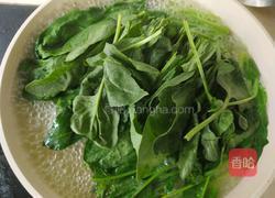 菠菜拌宽粉的做法图解5
