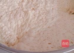 葱香花卷的做法图解3