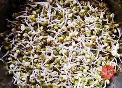 发绿豆芽的做法图解4