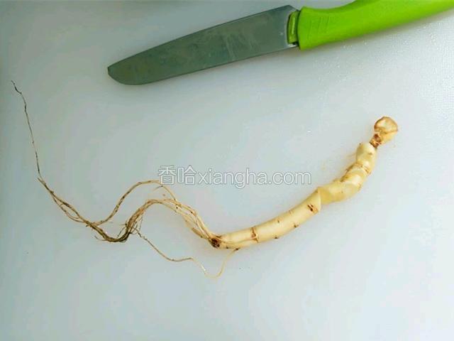 用不锈钢刀把人参切段（切段，人参易出味，但不喜欢吃人参粒的朋友，也可以整条放入，只要炖煮时间够长即可）