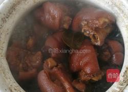 红烧猪手的做法图解11