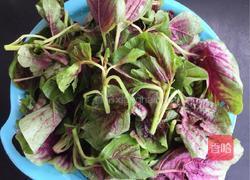 蒜蓉炒苋菜的做法图解2