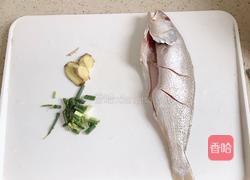 红烧黄山鱼的做法图解1