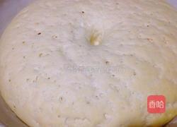 葱香花卷的做法图解4