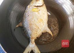 红烧金昌鱼(醋烹法)的做法图解7