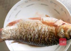 鲫鱼豆腐汤的做法图解1