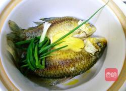鲫鱼豆腐汤的做法图解4