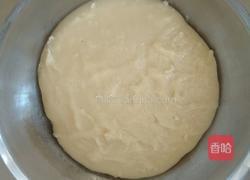 老婆饼(猪油版)的做法图解12