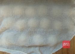 老婆饼(猪油版)的做法图解18