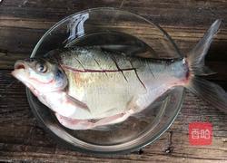 清蒸武昌鱼的做法图解4